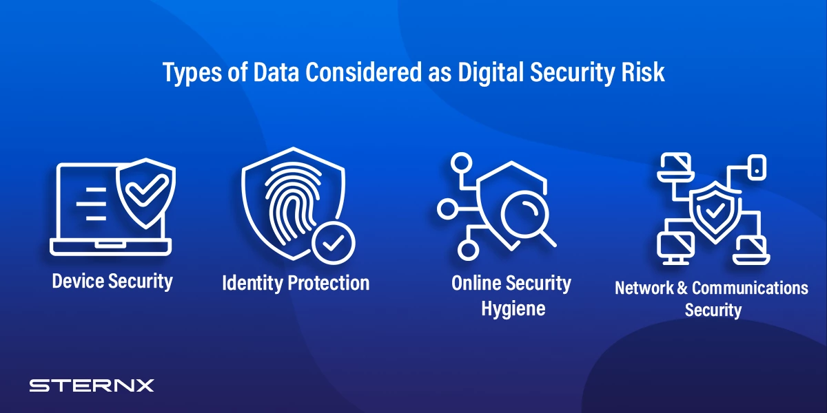 Types of Data  Considered as Digital Security Risk